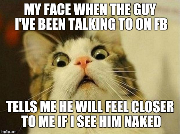 Scared Cat Meme | MY FACE WHEN THE GUY I'VE BEEN TALKING TO ON FB TELLS ME HE WILL FEEL CLOSER TO ME IF I SEE HIM NAKED | image tagged in memes,scared cat | made w/ Imgflip meme maker