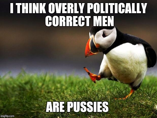 Unpopular Opinion Puffin | I THINK OVERLY POLITICALLY CORRECT MEN ARE PUSSIES | image tagged in unpopular opinion puffin | made w/ Imgflip meme maker