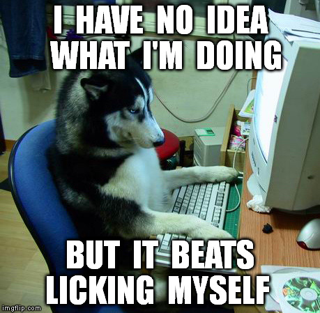 I Have No Idea What I Am Doing | I  HAVE  NO  IDEA  WHAT  I'M  DOING BUT  IT  BEATS  LICKING  MYSELF | image tagged in memes,i have no idea what i am doing | made w/ Imgflip meme maker