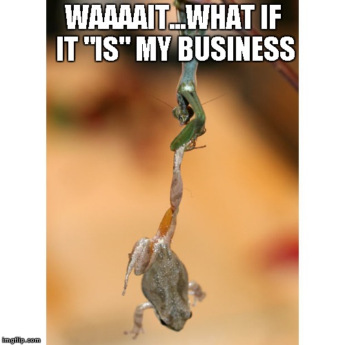 It can't always be "none of our business" | WAAAAIT...WHAT IF IT "IS" MY BUSINESS | image tagged in praying mantis,mantis,kermit the frog,kermit,funny,nature | made w/ Imgflip meme maker