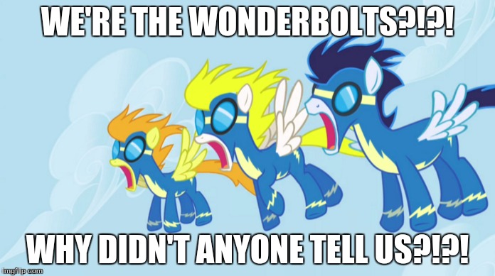 i dont get that they dont know the're the wonderbolts | WE'RE THE WONDERBOLTS?!?! WHY DIDN'T ANYONE TELL US?!?! | image tagged in wonderbolts,suprise | made w/ Imgflip meme maker