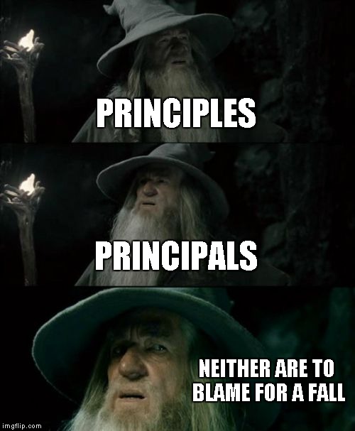 Confused Gandalf Meme | PRINCIPLES PRINCIPALS NEITHER ARE TO BLAME FOR A FALL | image tagged in memes,confused gandalf | made w/ Imgflip meme maker