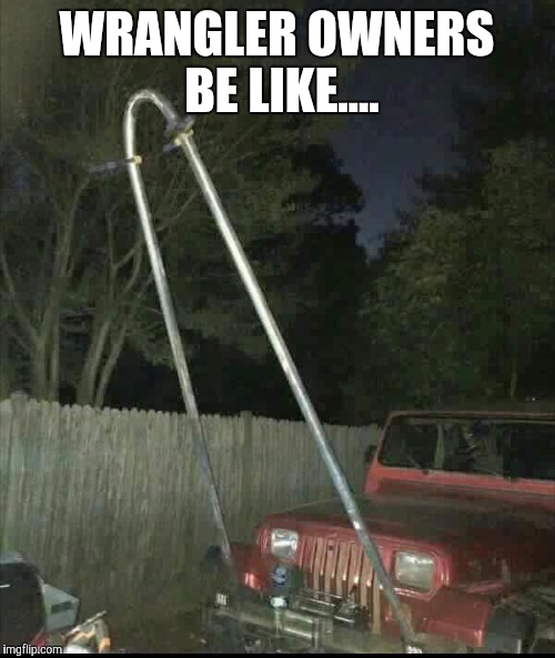 Stung!!!! | WRANGLER OWNERS BE LIKE.... | image tagged in jeep,hilarious,wtf | made w/ Imgflip meme maker