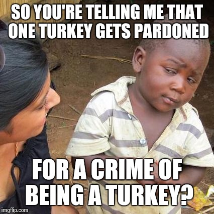 Third World Skeptical Kid Meme | SO YOU'RE TELLING ME THAT ONE TURKEY GETS PARDONED FOR A CRIME OF BEING A TURKEY? | image tagged in memes,third world skeptical kid | made w/ Imgflip meme maker