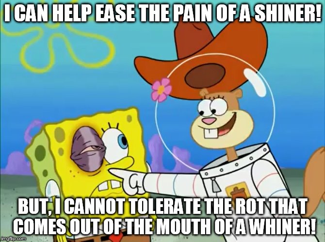 Sandy - I can ease the pain of a shiner! | I CAN HELP EASE THE PAIN OF A SHINER! BUT, I CANNOT TOLERATE THE ROT THAT COMES OUT OF THE MOUTH OF A WHINER! | image tagged in spongebob squarepants,funny memes,black eye,memes,sandy cheeks,funny | made w/ Imgflip meme maker