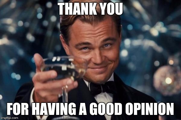 Leonardo Dicaprio Cheers Meme | THANK YOU FOR HAVING A GOOD OPINION | image tagged in memes,leonardo dicaprio cheers | made w/ Imgflip meme maker