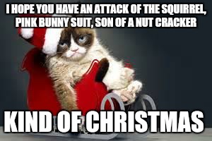 My favorite Christmas movies  | I HOPE YOU HAVE AN ATTACK OF THE SQUIRREL, PINK BUNNY SUIT, SON OF A NUT CRACKER KIND OF CHRISTMAS | image tagged in grumpy cat christmas | made w/ Imgflip meme maker