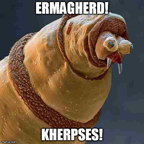 pimp maggot | ERMAGHERD! KHERPSES! | image tagged in pimp maggot | made w/ Imgflip meme maker