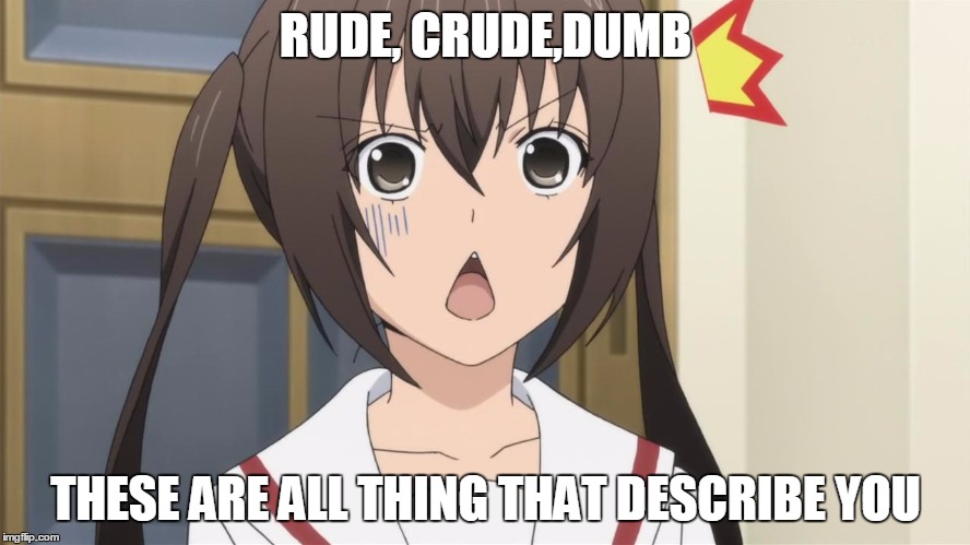 Surprised anime | RUDE, CRUDE,DUMB THESE ARE ALL THING THAT DESCRIBE YOU | image tagged in surprised anime | made w/ Imgflip meme maker