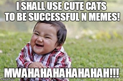 Evil Toddler Meme | I SHALL USE CUTE CATS TO BE SUCCESSFUL N MEMES! MWAHAHAHAHAHAHAH!!! | image tagged in memes,evil toddler | made w/ Imgflip meme maker