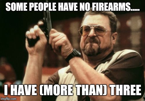 Am I The Only One Around Here Meme | SOME PEOPLE HAVE NO FIREARMS..... I HAVE (MORE THAN) THREE | image tagged in memes,am i the only one around here | made w/ Imgflip meme maker