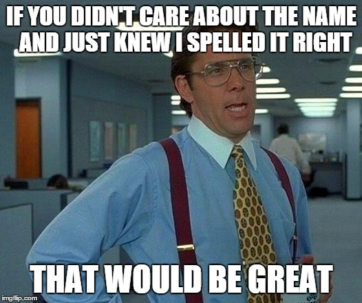 IF YOU DIDN'T CARE ABOUT THE NAME 
AND JUST KNEW I SPELLED IT RIGHT THAT WOULD BE GREAT | image tagged in memes,that would be great | made w/ Imgflip meme maker