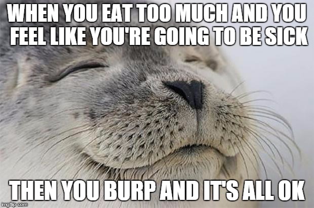 Satisfied Seal Meme | WHEN YOU EAT TOO MUCH AND YOU FEEL LIKE YOU'RE GOING TO BE SICK THEN YOU BURP AND IT'S ALL OK | image tagged in memes,satisfied seal | made w/ Imgflip meme maker