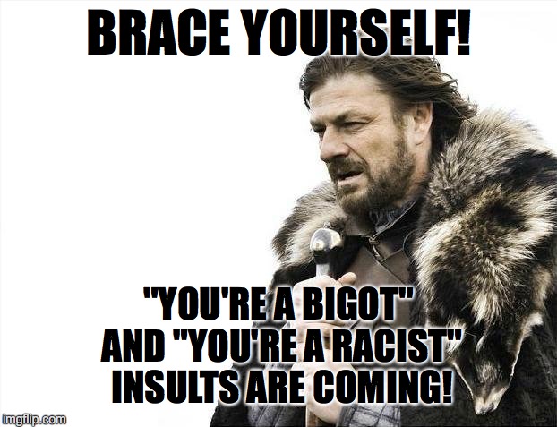 Brace Yourselves X is Coming Meme | BRACE YOURSELF! "YOU'RE A BIGOT" AND "YOU'RE A RACIST" INSULTS ARE COMING! | image tagged in memes,brace yourselves x is coming | made w/ Imgflip meme maker