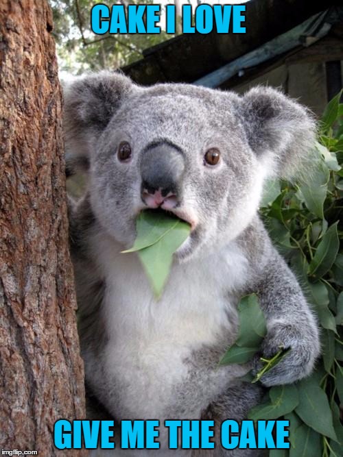 Surprised Koala | CAKE I LOVE GIVE ME THE CAKE | image tagged in memes,surprised koala | made w/ Imgflip meme maker