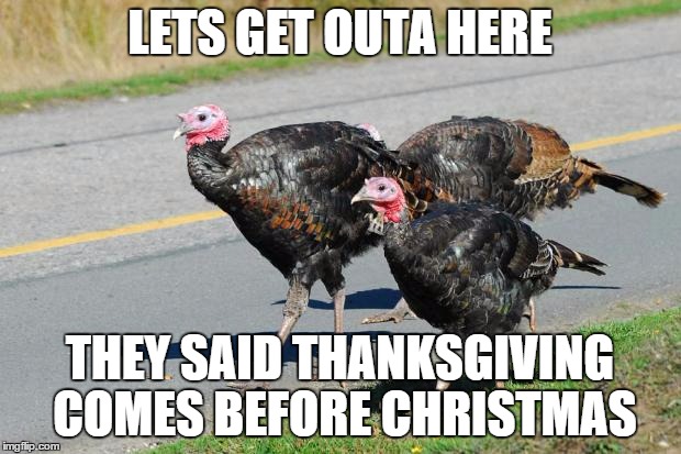 turkeys | LETS GET OUTA HERE THEY SAID THANKSGIVING COMES BEFORE CHRISTMAS | image tagged in turkeys | made w/ Imgflip meme maker