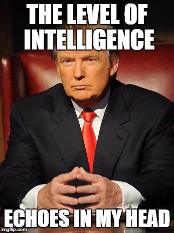 Serious Trump | THE LEVEL OF INTELLIGENCE ECHOES IN MY HEAD | image tagged in serious trump | made w/ Imgflip meme maker