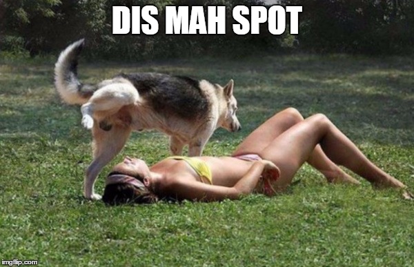 Dog Pees on Girl | DIS MAH SPOT | image tagged in dog pees on girl | made w/ Imgflip meme maker