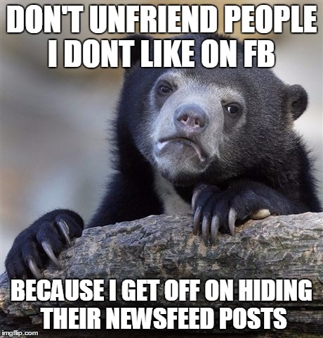 Confession Bear | DON'T UNFRIEND PEOPLE I DONT LIKE ON FB BECAUSE I GET OFF ON HIDING THEIR NEWSFEED POSTS | image tagged in memes,confession bear | made w/ Imgflip meme maker