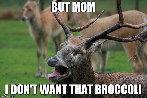 disgusted deer | BUT MOM I DON'T WANT THAT BROCCOLI | image tagged in disgusted deer | made w/ Imgflip meme maker