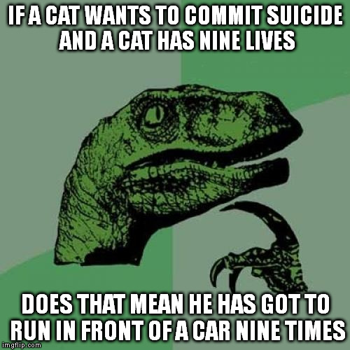 over and over and over | IF A CAT WANTS TO COMMIT SUICIDE AND A CAT HAS NINE LIVES DOES THAT MEAN HE HAS GOT TO RUN IN FRONT OF A CAR NINE TIMES | image tagged in memes,philosoraptor | made w/ Imgflip meme maker