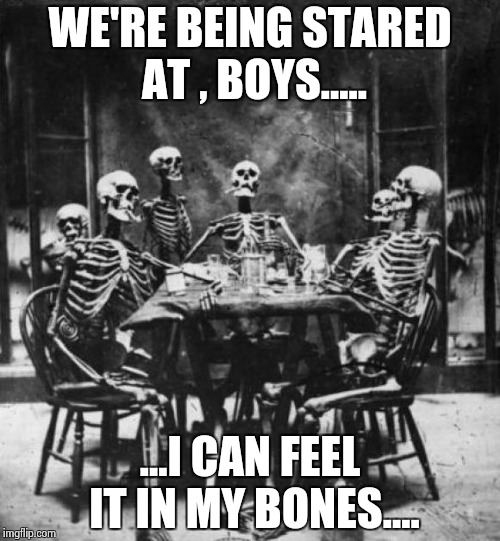 Skeletons  | WE'RE BEING STARED AT , BOYS..... ...I CAN FEEL IT IN MY BONES.... | image tagged in skeletons  | made w/ Imgflip meme maker