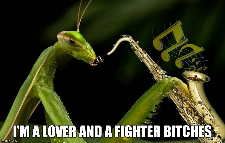 I'M A LOVER AND A FIGHTER B**CHES | made w/ Imgflip meme maker