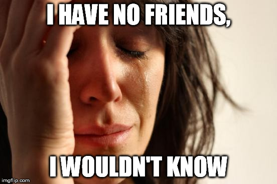 First World Problems Meme | I HAVE NO FRIENDS, I WOULDN'T KNOW | image tagged in memes,first world problems | made w/ Imgflip meme maker