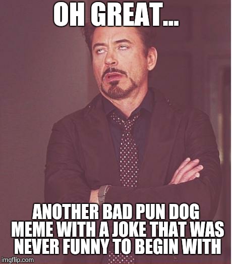 Face You Make Robert Downey Jr Meme | OH GREAT... ANOTHER BAD PUN DOG MEME WITH A JOKE THAT WAS NEVER FUNNY TO BEGIN WITH | image tagged in memes,face you make robert downey jr | made w/ Imgflip meme maker
