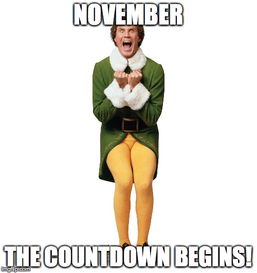 Christmas Elf | NOVEMBER THE COUNTDOWN BEGINS! | image tagged in christmas elf | made w/ Imgflip meme maker