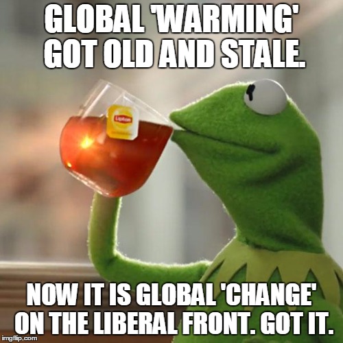 But That's None Of My Business Meme | GLOBAL 'WARMING' GOT OLD AND STALE. NOW IT IS GLOBAL 'CHANGE' ON THE LIBERAL FRONT. GOT IT. | image tagged in memes,but thats none of my business,kermit the frog | made w/ Imgflip meme maker