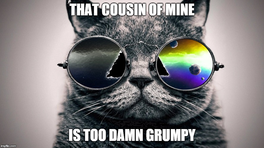 Cool Cat | THAT COUSIN OF MINE IS TOO DAMN GRUMPY | image tagged in memes,funny,cool cat,grumpy cat | made w/ Imgflip meme maker