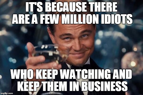 Leonardo Dicaprio Cheers Meme | IT'S BECAUSE THERE ARE A FEW MILLION IDIOTS WHO KEEP WATCHING AND KEEP THEM IN BUSINESS | image tagged in memes,leonardo dicaprio cheers | made w/ Imgflip meme maker