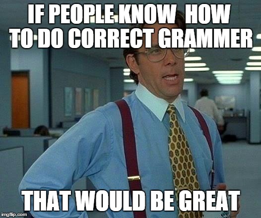 That Would Be Great Meme | IF PEOPLE KNOW  HOW TO DO CORRECT GRAMMER THAT WOULD BE GREAT | image tagged in memes,that would be great | made w/ Imgflip meme maker