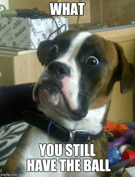 What!!! | WHAT YOU STILL HAVE THE BALL | image tagged in what,ball,dogs,dog,dodge,funny | made w/ Imgflip meme maker