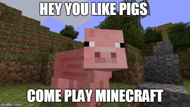 Minecraft Pig | HEY YOU LIKE PIGS COME PLAY MINECRAFT | image tagged in minecraft pig | made w/ Imgflip meme maker