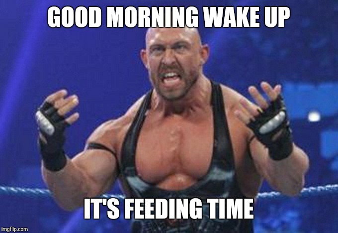 Ryback | GOOD MORNING WAKE UP IT'S FEEDING TIME | image tagged in ryback | made w/ Imgflip meme maker