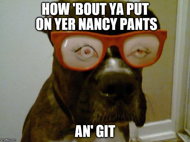 georgetheboxerdog | HOW 'BOUT YA PUT ON YER NANCY PANTS AN' GIT | image tagged in funny memes | made w/ Imgflip meme maker