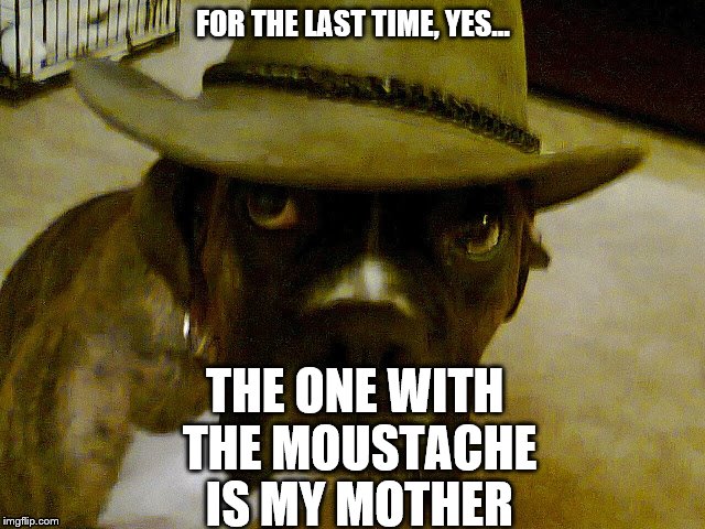 Georgetheboxerdog | FOR THE LAST TIME, YES... THE ONE WITH THE MOUSTACHE IS MY MOTHER | image tagged in funny memes | made w/ Imgflip meme maker