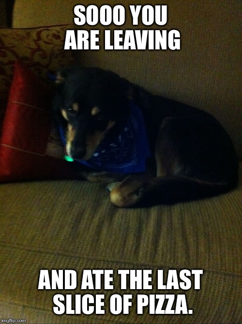 SOOO YOU ARE LEAVING AND ATE THE LAST SLICE OF PIZZA. | image tagged in malaki2 | made w/ Imgflip meme maker