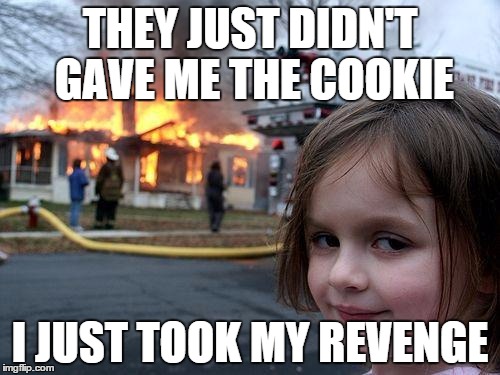 Disaster Girl | THEY JUST DIDN'T GAVE ME THE COOKIE I JUST TOOK MY REVENGE | image tagged in memes,disaster girl | made w/ Imgflip meme maker