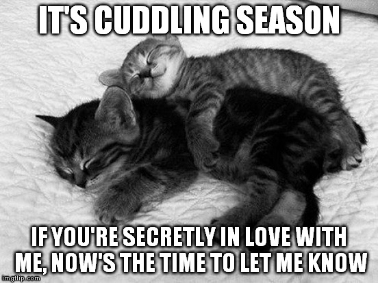 Cuddle Love | IT'S CUDDLING SEASON IF YOU'RE SECRETLY IN LOVE WITH ME, NOW'S THE TIME TO LET ME KNOW | image tagged in cuddle,love,winter,comfort | made w/ Imgflip meme maker
