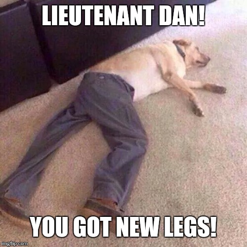 Lazy Labrador  | LIEUTENANT DAN! YOU GOT NEW LEGS! | image tagged in memes,dog,forrest gump,funny,bad luck brian | made w/ Imgflip meme maker