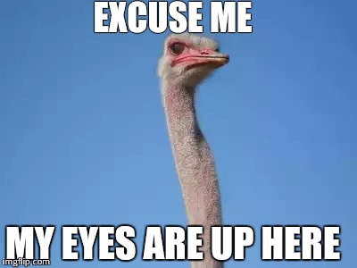 Ogling the Ostrich  | EXCUSE ME MY EYES ARE UP HERE | image tagged in memes,funny | made w/ Imgflip meme maker