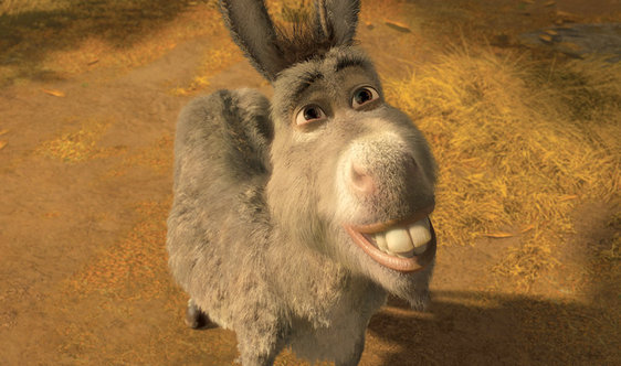 Burro shrek Blank Template - Imgflip