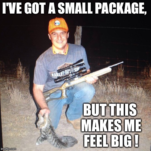 I'VE GOT A SMALL PACKAGE, BUT THIS MAKES ME FEEL BIG ! | image tagged in small package | made w/ Imgflip meme maker