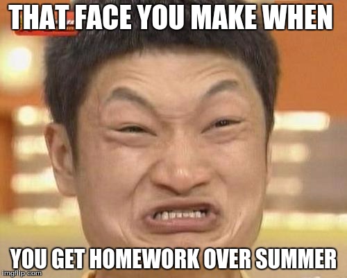 Impossibru Guy Original | THAT FACE YOU MAKE WHEN YOU GET HOMEWORK OVER SUMMER | image tagged in memes,impossibru guy original | made w/ Imgflip meme maker