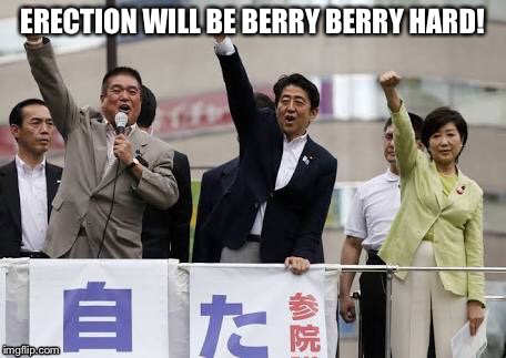 engrish  | ERECTION WILL BE BERRY BERRY HARD! | image tagged in japanese | made w/ Imgflip meme maker