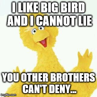 Todays meme was brought to you by the letter "B"... | I LIKE BIG BIRD AND I CANNOT LIE YOU OTHER BROTHERS CAN'T DENY... | image tagged in big bird 1,sesame street,sir mixalot | made w/ Imgflip meme maker