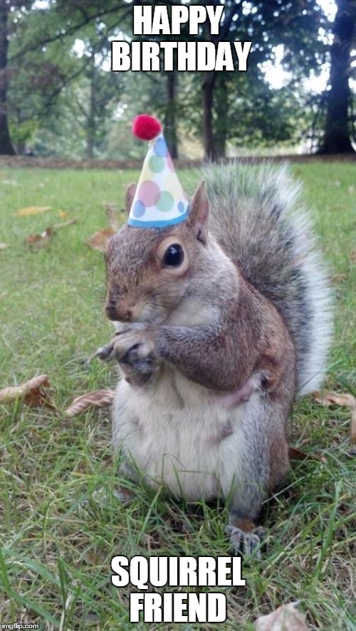 Super Birthday Squirrel Meme | HAPPY BIRTHDAY SQUIRREL FRIEND | image tagged in memes,super birthday squirrel | made w/ Imgflip meme maker